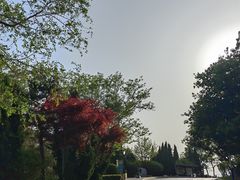 -燕窝岭