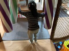 -蒙特利亲子乐园