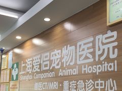 -爱侣宠医·鹦鹉专科·小型哺乳类·异宠专科(灵石路店)