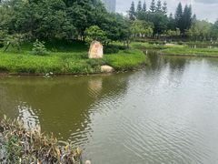 -映月湖公园