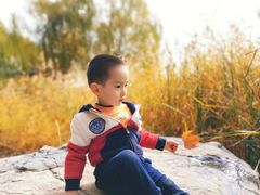 -大兴滨河森林公园