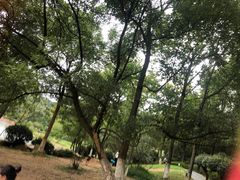 -桃花岭景区