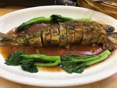 -肥仔顺德菜(龙悦居店)