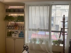 -碧莲盛·不剃发植发