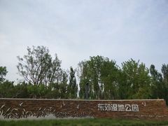 -东郊湿地公园