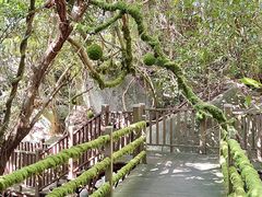 -七仙岭温泉国家森林公园