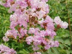 -回龙观体育文化公园