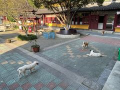 -九龙潭景区