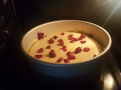 -天鹅到家·保姆月嫂育儿嫂(天河店)