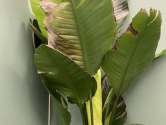 -纪林菜馆·博山菜老字号(华光路店)