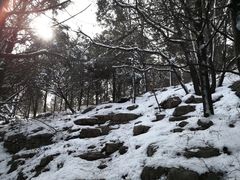 -龙洞风景区-藏龙涧