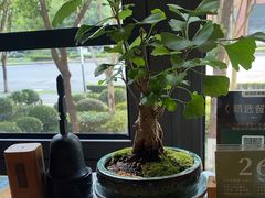 -竹里馆 ·茶食(奥体店)