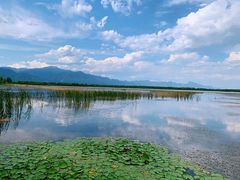 -野鸭湖国家湿地公园