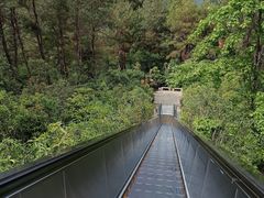 -千岛湖天屿景区