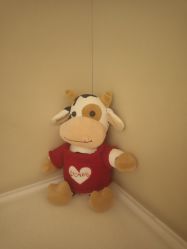 -Yestar艺星医疗美容医院