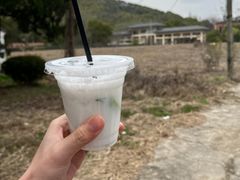 -上海佘山国家森林公园天马山园