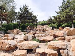 -莫子山公园