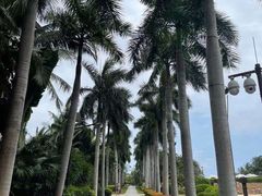 -宴悦海鲜餐厅·游水海鲜·牛排(亚龙湾瑞吉店)