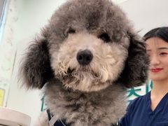 -佳雯宠物医院(四明中路分院)