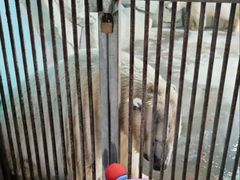 -泉城欧乐堡海洋极地世界