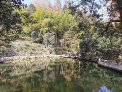 -莫干山风景区