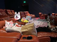 -金逸影城(中关村店)