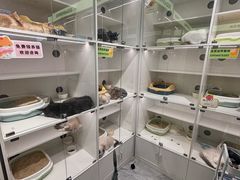 -南京时尚莱迪购物广场(正洪街店)