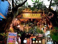 -正佳雨林生态植物园