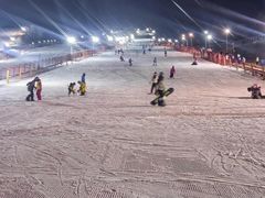 -东方巨龟苑景区