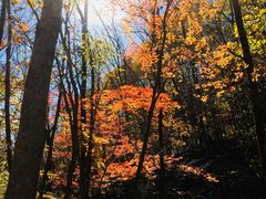 -丹东天桥沟景区