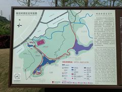 -桃花岭景区