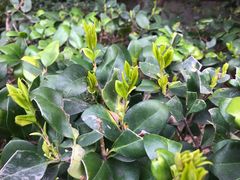 -苏州河梦清园环保主题公园