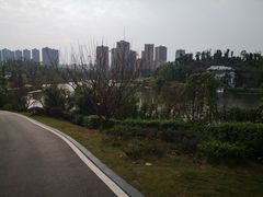 -东岳体育公园