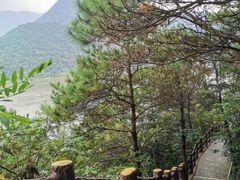 -羚羊峡古栈道森林公园