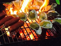 -西涌国际滨海旅游区