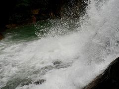 -广州白江湖森林公园