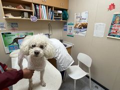 -安安宠医·臻爱宠物医院·宠保定点(营门口路分院)