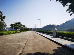 -水濂山森林公园