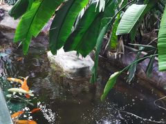 -上海大自然野生昆虫馆(东方明珠·爬宠昆虫探索中心)