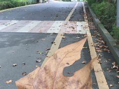 -阿哈湖国家湿地公园