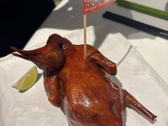 -侨美·唐荔园·40年地道粤菜