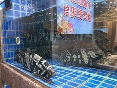 -海鲜潮·株洲海鲜集市(栗雨店)