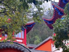 -黔灵山公园