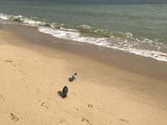 -海云台海滩