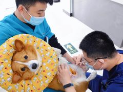 -美迦爱-牙专科·兔科·骨科诊疗中心(北苑店)