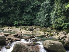-黎坪国家森林公园