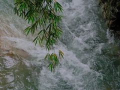 -西岭雪山大飞水景区