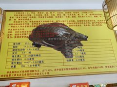 -大圣甲(汉口店)