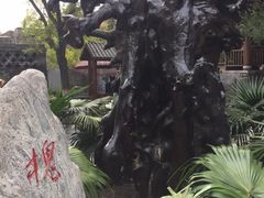 -大槐树寻根祭祖园