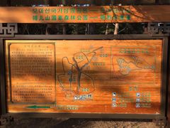 -帽儿山国家森林公园